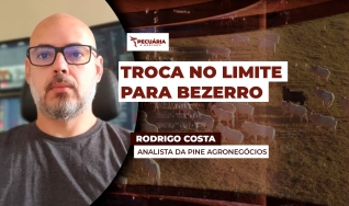 Rodrigo Costa - Analista da PINE Agronegócios
