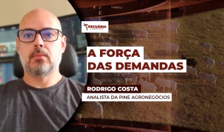 Rodrigo Costa - Analista da PINE Agronegócios