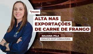 Juliana Pila - Analista Scot Consultoria