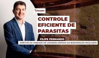 Filipe Fernando - Diretor da Unidade de Grandes Animais da Boehringer Ingelheim