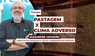 Alexandre Craveiro - Diretor de Pesquisa e sócio-fundador da Fertsan