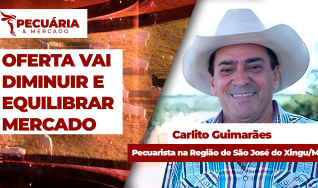 Carlito Guimarães - Pecuarista na Região de São José do Xingu/MT