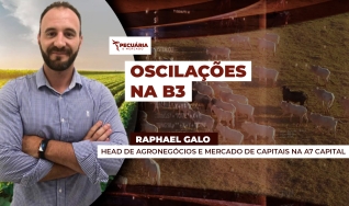 Raphael Galo - Head de Agronegócios e Mercado de Capitais na A7 Capital
