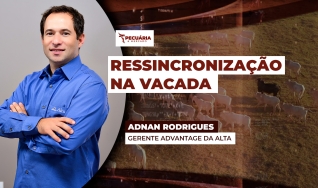 Adnan Rodrigues - Gerente Advantage da Alta