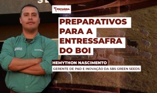 Hemython Nascimento - Gerente de P&D e Inovação da SBS Green Seeds