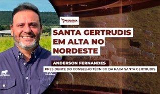 Anderson Fernandes - Presidente do Conselho Técnico da Raça Santa Gertrudis