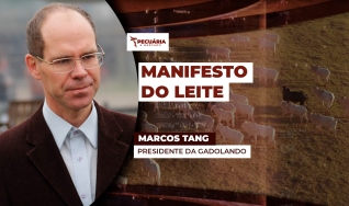 Marcos Tang - Presidente da Gadolando