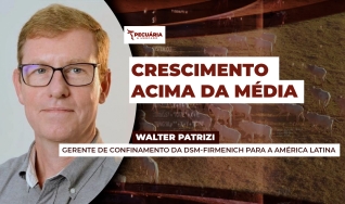 Walter Patrizi - Gerente de Confinamento da dsm-firmenich para a América Latina