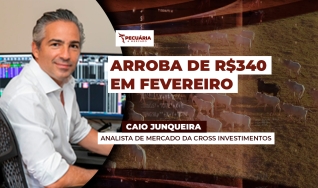 Caio Junqueira - Analista de Mercado da Cross Investimentos