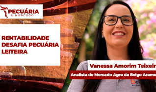 Vanessa Amorim Teixeira - Analista de Mercado Agro da Belgo Arames