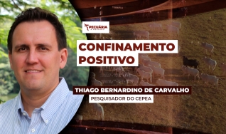 Thiago Bernardino de Carvalho - Pesquisador do Cepea
