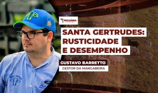 Gustavo Barretto - Gestor da Mangabeira