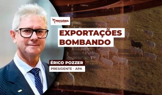 Érico Pozzer - Presidente - APA