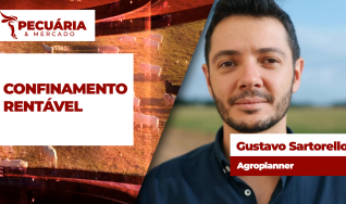 Gustavo Sartorello - Agroplanner