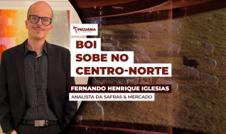 Fernando Henrique Iglesias - Analista da Safras & Mercado