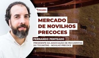 Fernando Penteado - Presidente da Associação de Pecuaristas do Tocantins – Novilho Precoce