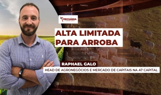 Raphael Galo -  Head de Agronegócios e mercado de capitais na A7 Capital