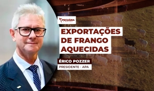 Érico Pozzer - Presidente - APA