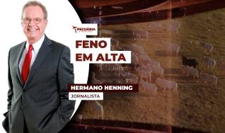 Hermano Henning - Jornalista