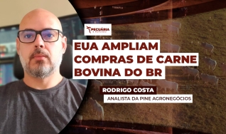 Rodrigo Costa - Analista da PINE Agronegócios