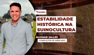 Alvimar Jalles - Consultor de Mercado