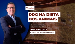 Ideraldo Lima - CEO da ILL Nutrição Animal
