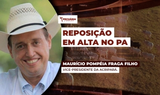 Maurício Pompéia Fraga Filho - Vice-presidente da ACRIPARÁ.
