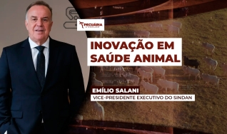 Emílio Salani - Vice-Presidente Executivo do Sindan