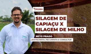 Neto Prado - Zootecnista, Pecuarista e Consultor