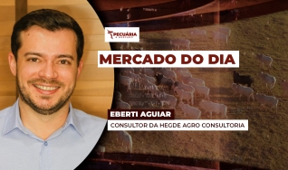 Eberti Aguiar - Consultor da Hegde Agro Consultoria