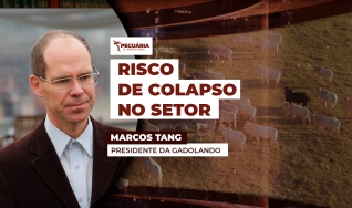 Marcos Tang - Presidente da Gadolando