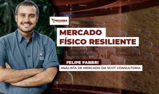 Felipe Fabbri - Analista de Mercado da Scot Consultoria