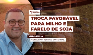 Yuri Ávila - Consultor Técnico Comercial