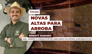 Ronaty Makuko - Eng. Agrôn. e Consultor de Mercardo da Pátria Agronegócios