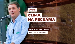 Frederico Stella - Diretor da Famasul