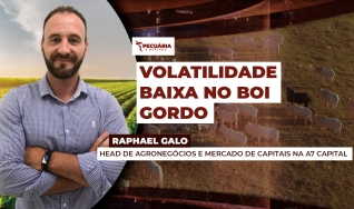 Raphael Galo - Head de Agronegócios e Mercado de Capitais na A7 Capital