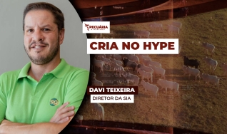 Davi Teixeira - Diretor da SIA