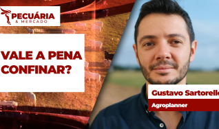 Gustavo Sartorello - Agroplanner