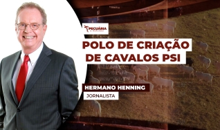 Hermano Henning - Jornalista