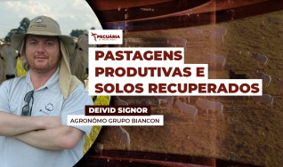 Deivid Signor - Agronômo Grupo Biancon