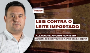 Alexandre Amorim Monteiro - Analista de Desenvolvimento Técnico da Ocepar