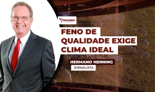 Hermano Henning - Jornalista