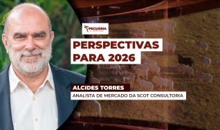 Alcides Torres - Analista de Mercado da Scot Consultoria