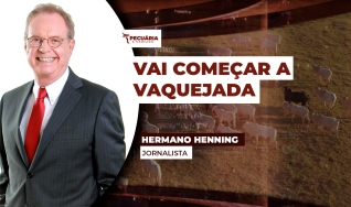 Hermano Henning - Jornalista