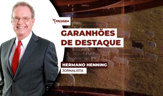 Hermano Henning - Jornalista