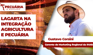 Gustavo Corsini - Gerente de Marketing Regional da IHARA