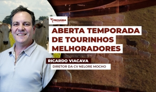 Ricardo Viacava - Diretor da CV Nelore Mocho