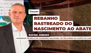 Rafael Ribeiro