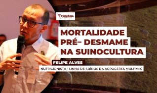 Felipe Alves - Nutricionista - Linha de Suínos da Agroceres Multimix
