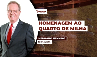 Hermano Henning - Jornalista
